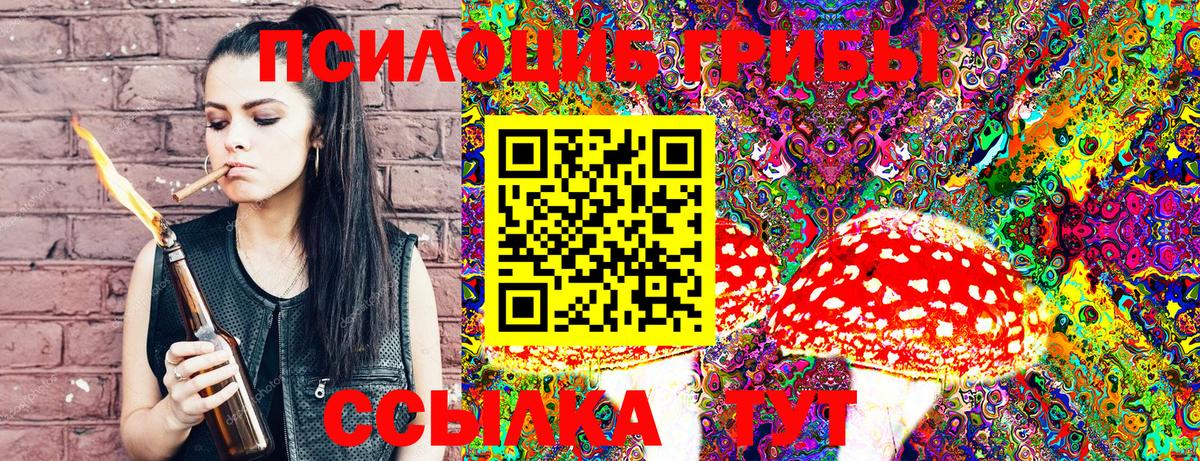 Псилоцибиновые грибы Psilocybine cubensis  купить наркотики сайты  Волхов  Вход с VPN  Галлюциногенные грибы Psilocybe 